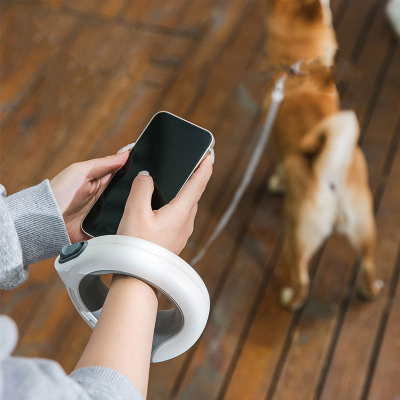 Fantastic Dog Leash With Built-in Spotlight For Extra Safety - Blicksel