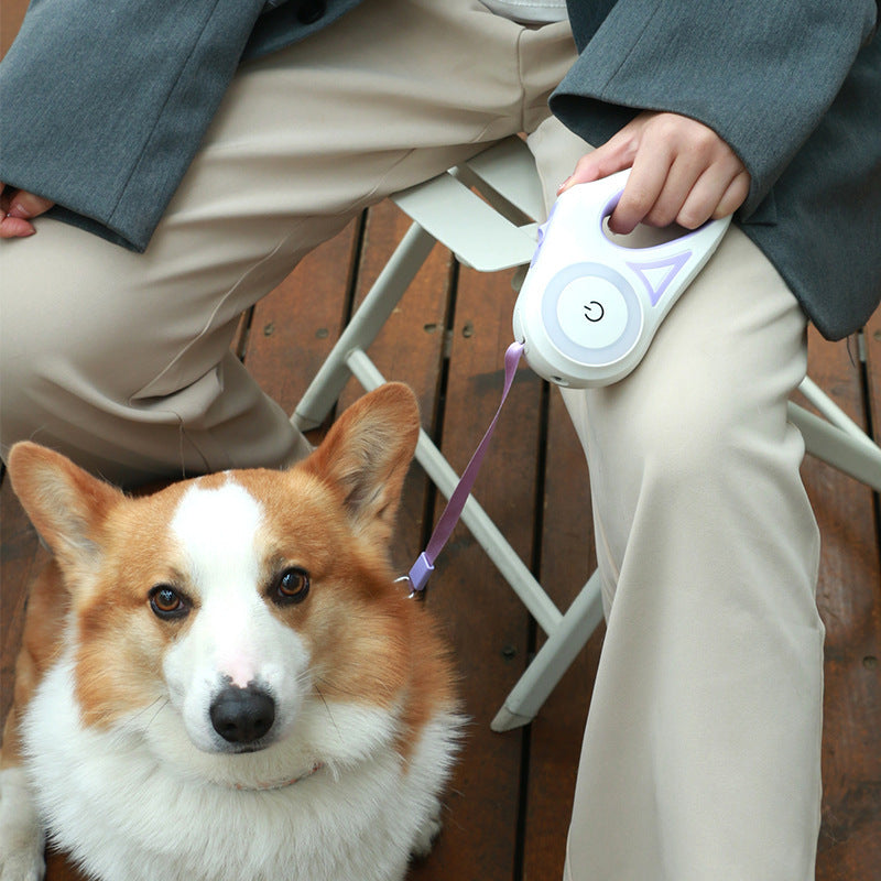 Ultimate Retractable Dog Leash & Collar Set With Built-in Spotlight – Control & Safety - Blicksel