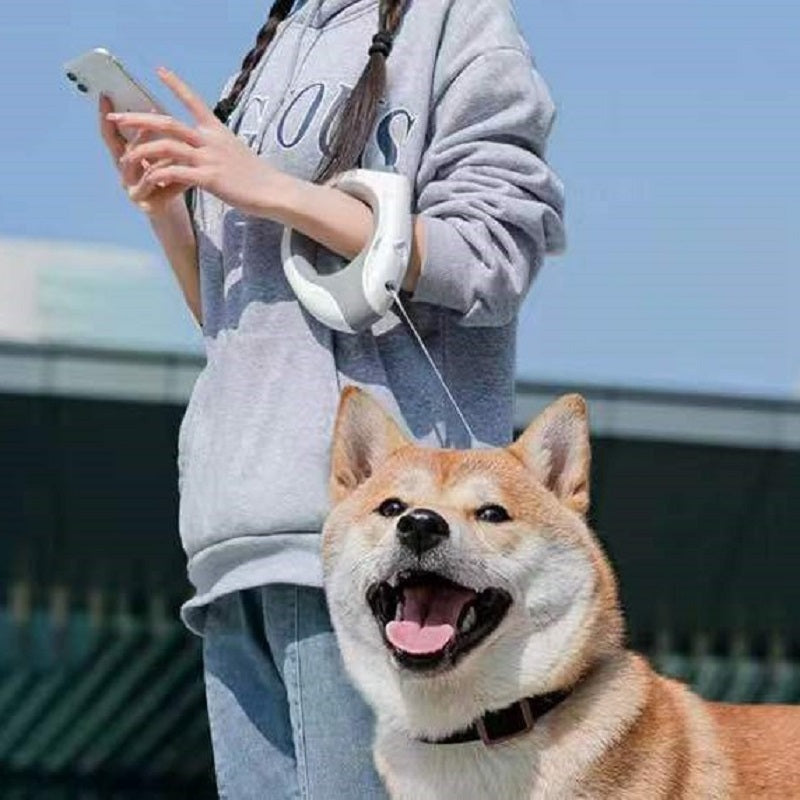 Fantastic Dog Leash With Built-in Spotlight For Extra Safety - Blicksel